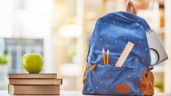 Senate Education Committee Holds Hearing on Chronic Absenteeism and Truancy